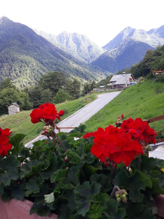 Casa All'Alpe Gaggetto B & B Anzino Eksteriør bilde