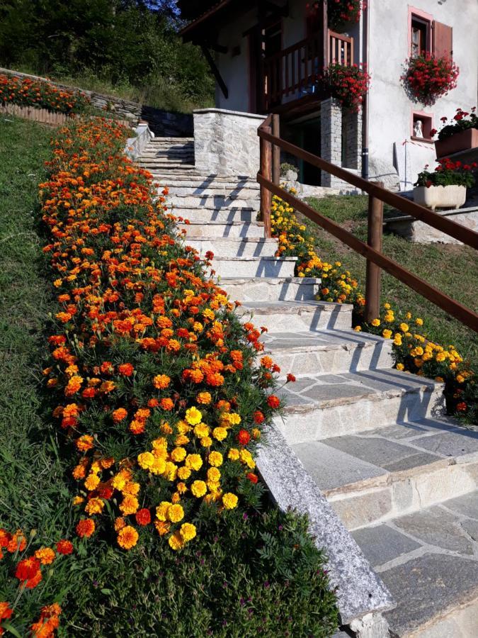 Casa All'Alpe Gaggetto B & B Anzino Eksteriør bilde