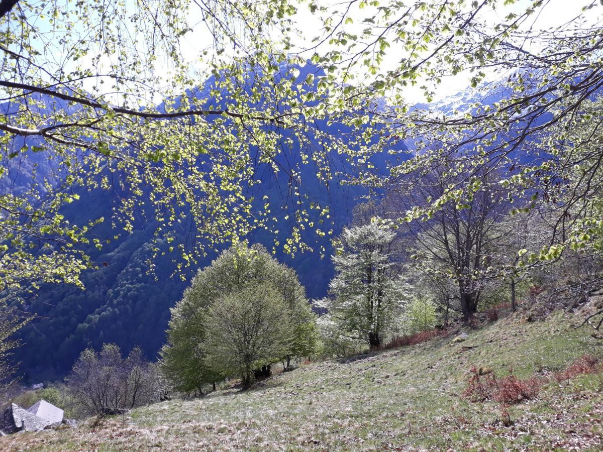 Casa All'Alpe Gaggetto B & B Anzino Eksteriør bilde