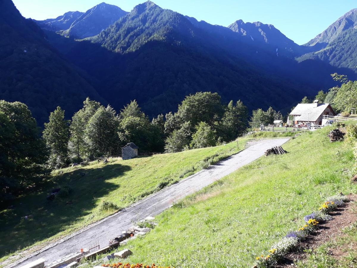 Casa All'Alpe Gaggetto B & B Anzino Eksteriør bilde