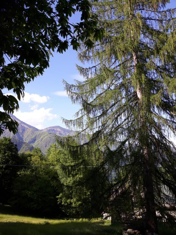 Casa All'Alpe Gaggetto B & B Anzino Eksteriør bilde