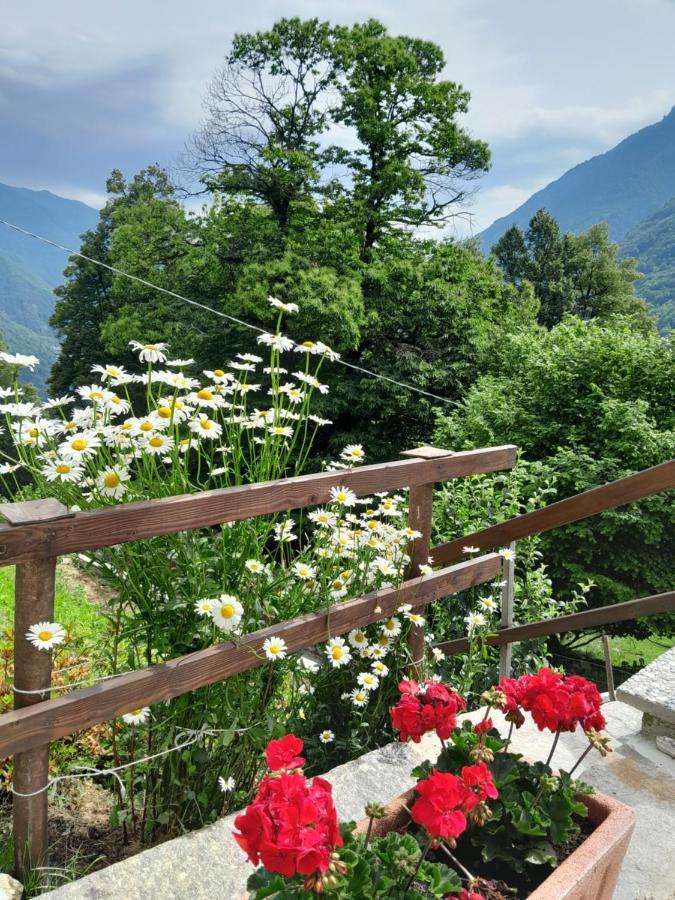 Casa All'Alpe Gaggetto B & B Anzino Eksteriør bilde