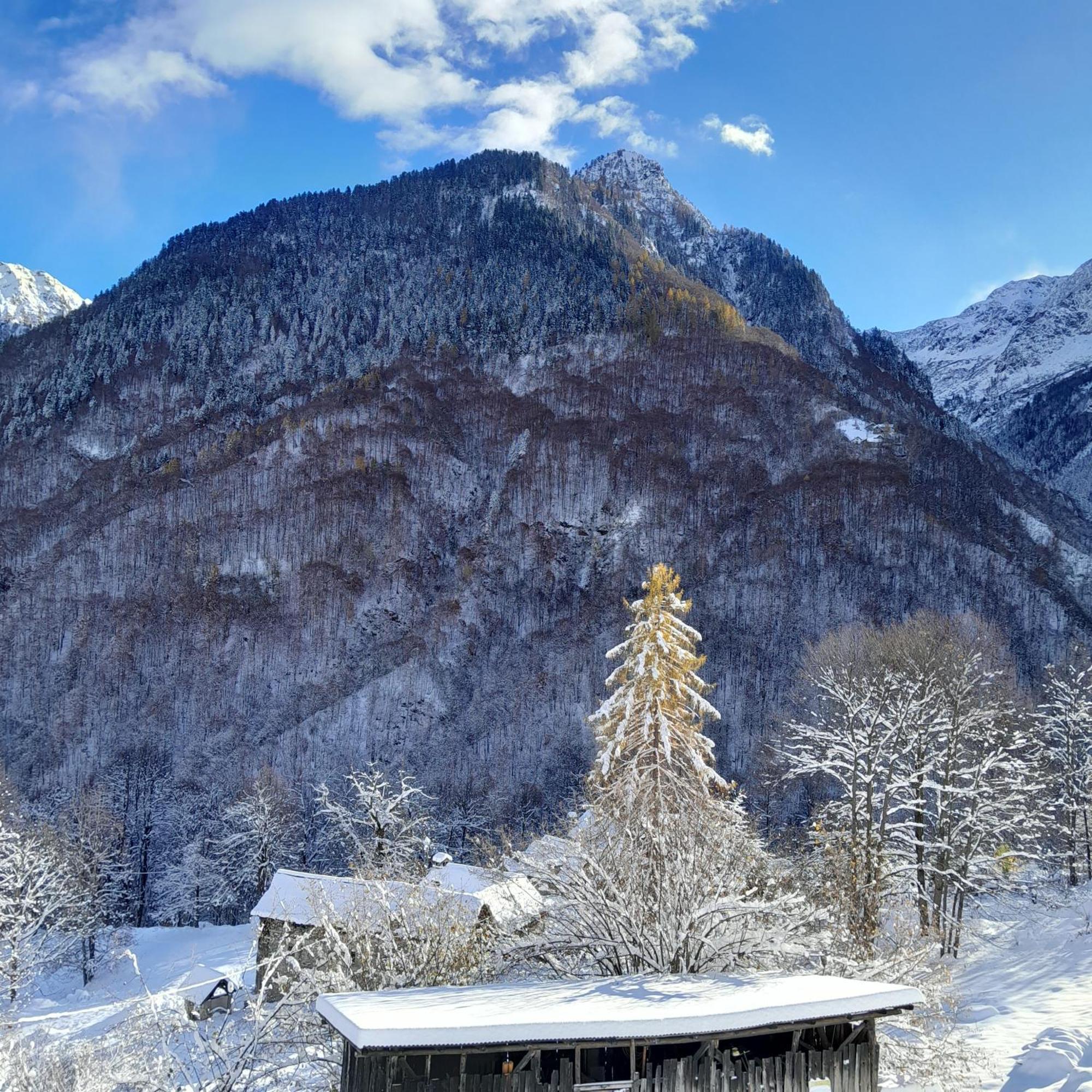 Casa All'Alpe Gaggetto B & B Anzino Eksteriør bilde