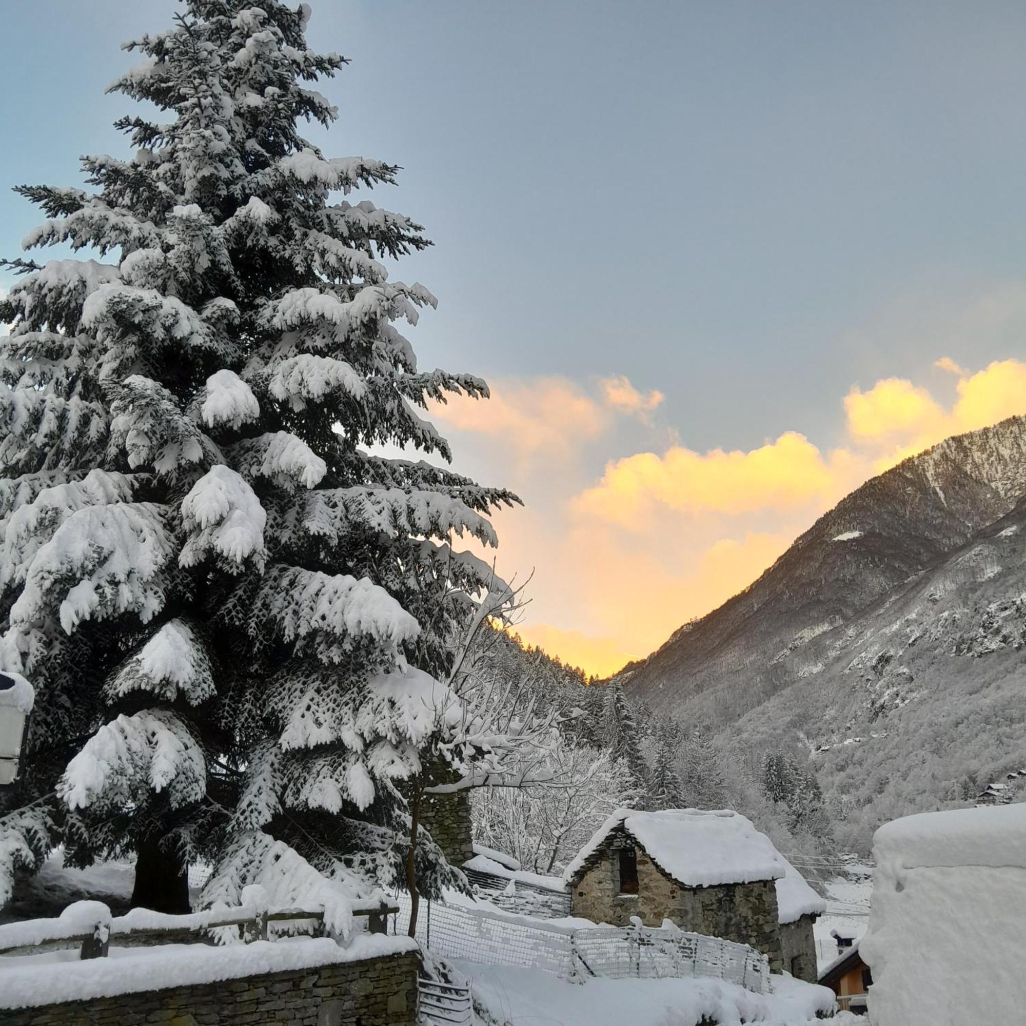Casa All'Alpe Gaggetto B & B Anzino Eksteriør bilde